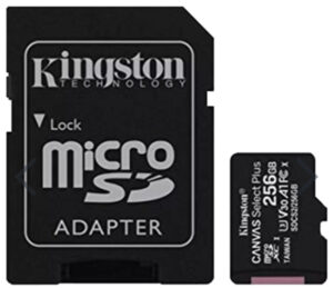 Kingston - MicroSD Class 10 Memory Card & SD Adapter - 256GB